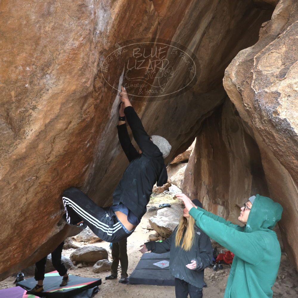 

Filename: SRM_20221218_1430080.jpg
Aperture: f/5.6
Shutter Speed: 1/400
Body: Canon EOS R6
Lens: Canon EF 16-35mm f/2.8 L