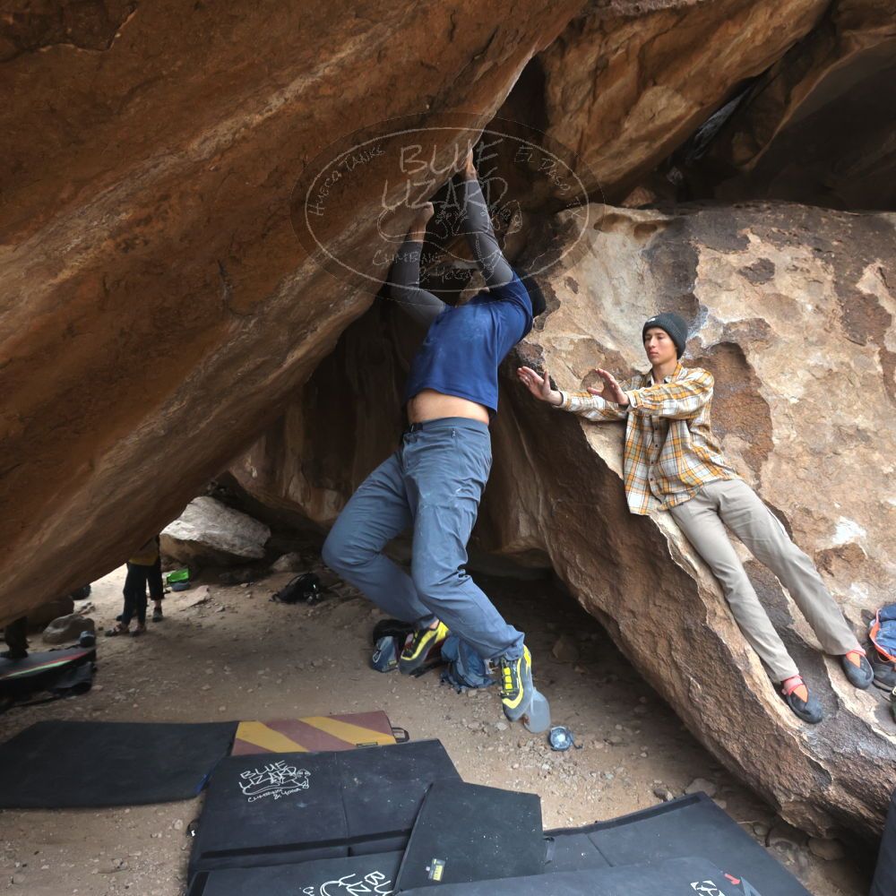 

Filename: SRM_20221218_1451440.jpg
Aperture: f/5.6
Shutter Speed: 1/400
Body: Canon EOS R6
Lens: Canon EF 16-35mm f/2.8 L