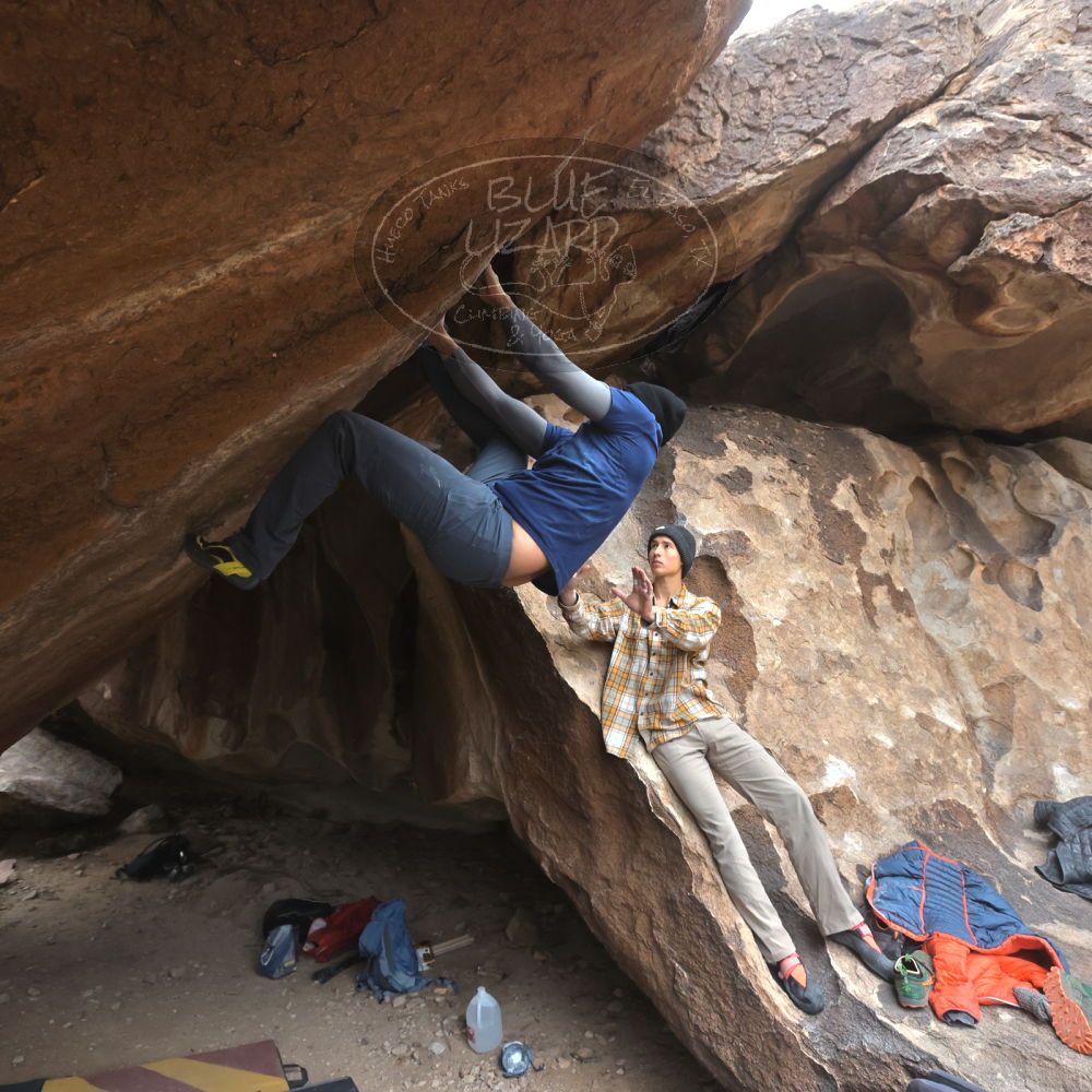 

Filename: SRM_20221218_1451510.jpg
Aperture: f/5.6
Shutter Speed: 1/400
Body: Canon EOS R6
Lens: Canon EF 16-35mm f/2.8 L