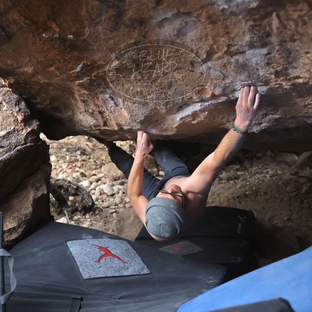 

Filename: SRM_20221218_1532520.jpg
Aperture: f/2.8
Shutter Speed: 1/400
Body: Canon EOS R6
Lens: Canon EF 16-35mm f/2.8 L