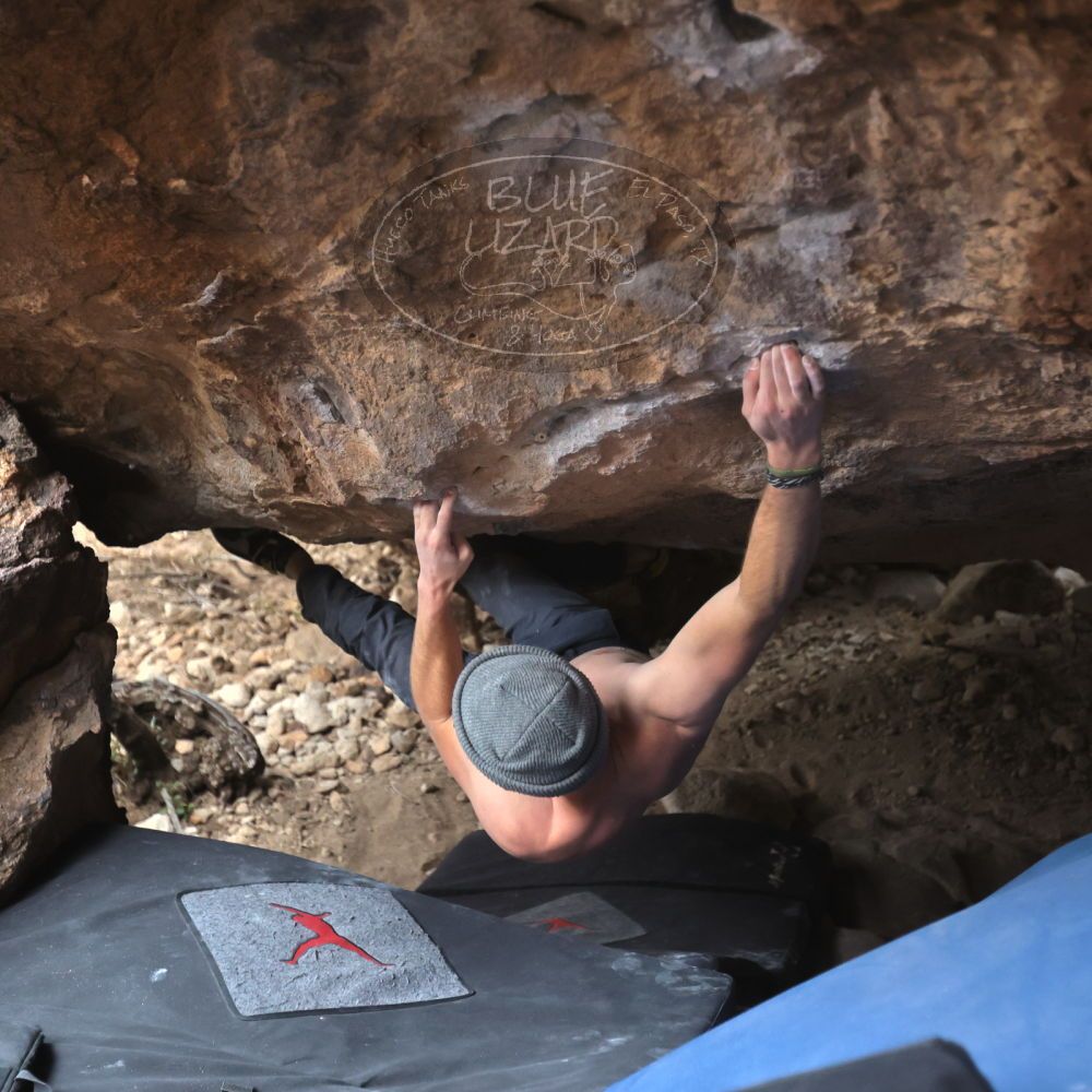 

Filename: SRM_20221218_1537290.jpg
Aperture: f/2.8
Shutter Speed: 1/400
Body: Canon EOS R6
Lens: Canon EF 16-35mm f/2.8 L