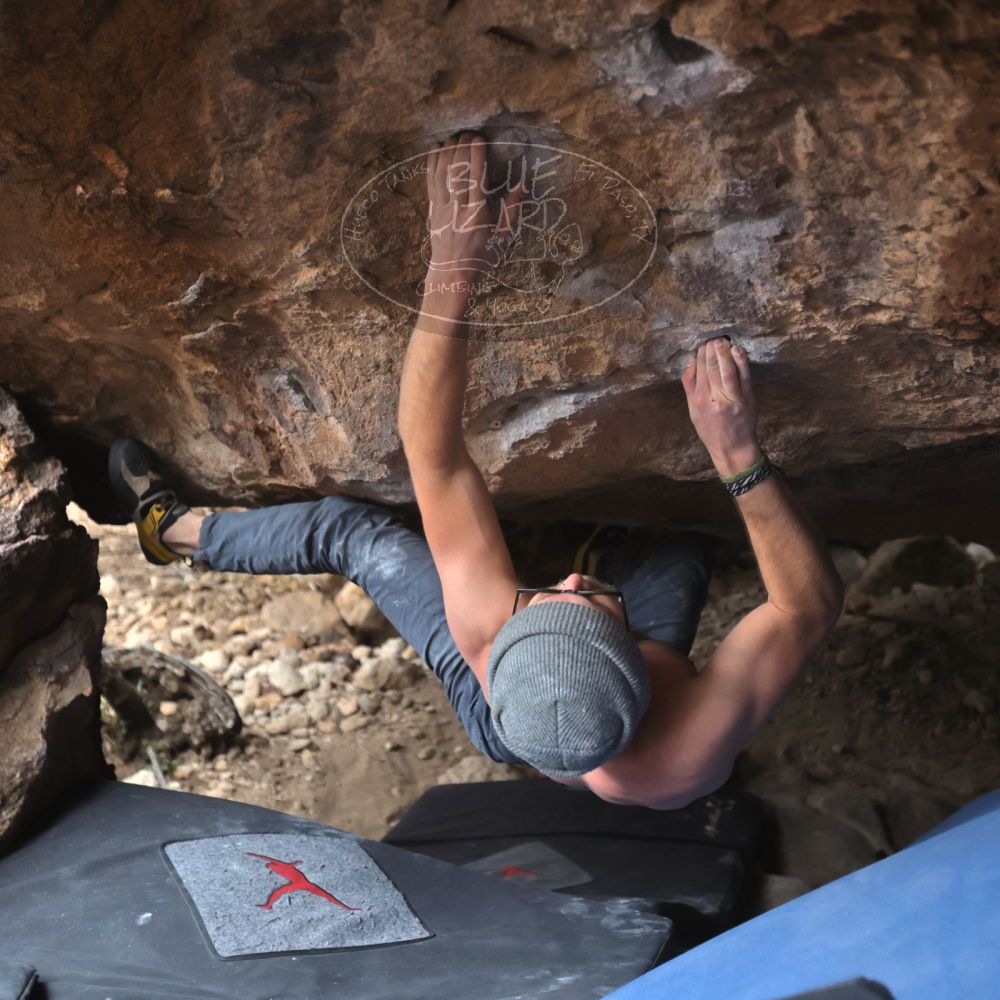 

Filename: SRM_20221218_1537360.jpg
Aperture: f/2.8
Shutter Speed: 1/400
Body: Canon EOS R6
Lens: Canon EF 16-35mm f/2.8 L