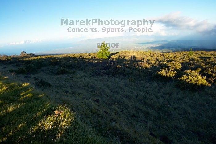 Bike trip down Haleakala. Trip to Maui, Hawai'i, 2007.
Filename: SRM_20071221_0758030.jpg
Aperture: f/8.0
Shutter Speed: 1/200
Body: Canon EOS-1D Mark II
Lens: Sigma 15-30mm f/3.5-4.5 EX Aspherical DG DF