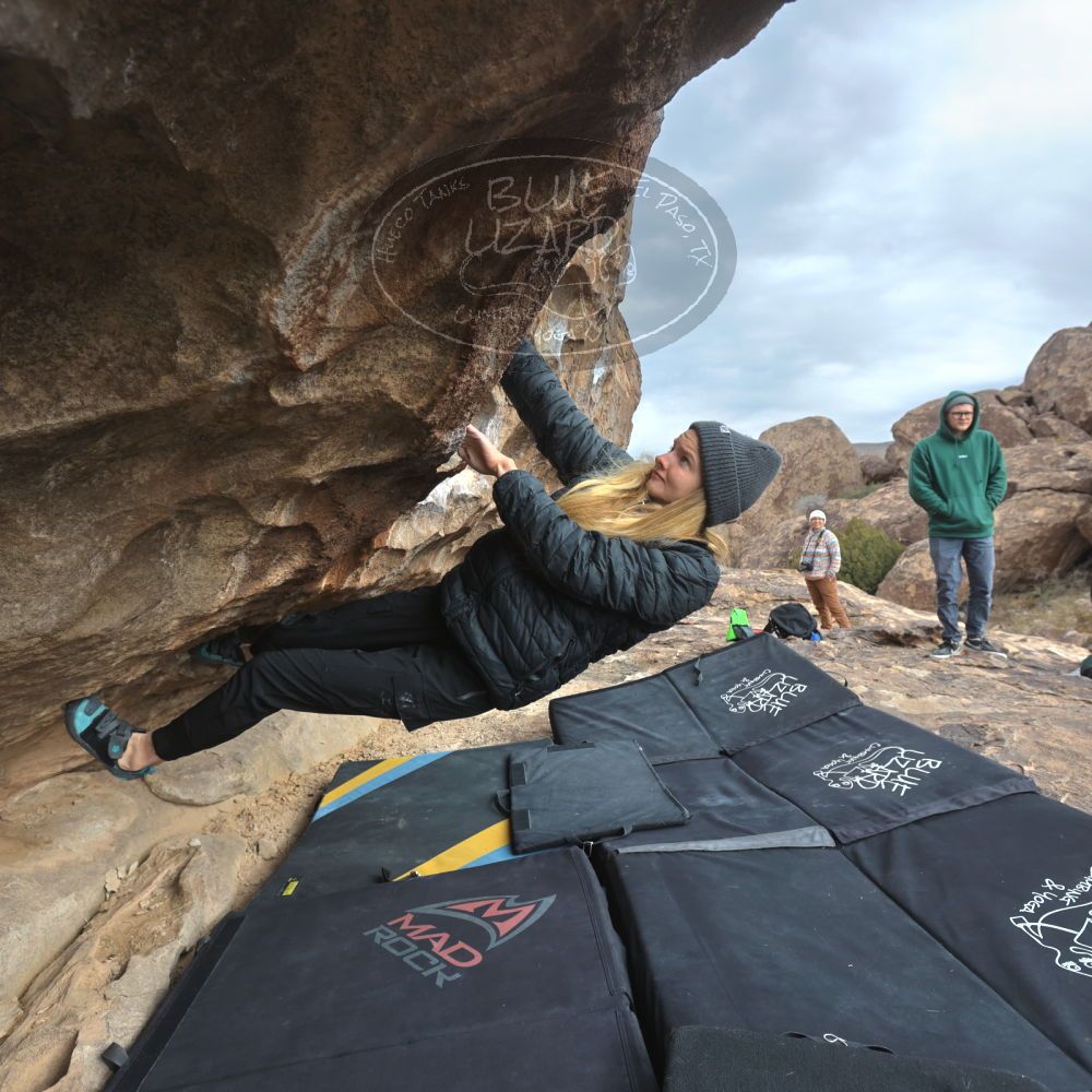 

Filename: SRM_20221218_0958021.jpg
Aperture: f/5.6
Shutter Speed: 1/400
Body: Canon EOS R6
Lens: Canon EF 16-35mm f/2.8 L