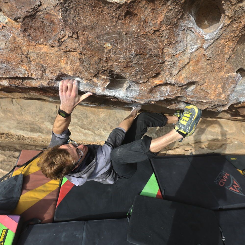 

Filename: SRM_20221218_1001510.jpg
Aperture: f/5.6
Shutter Speed: 1/400
Body: Canon EOS R6
Lens: Canon EF 16-35mm f/2.8 L