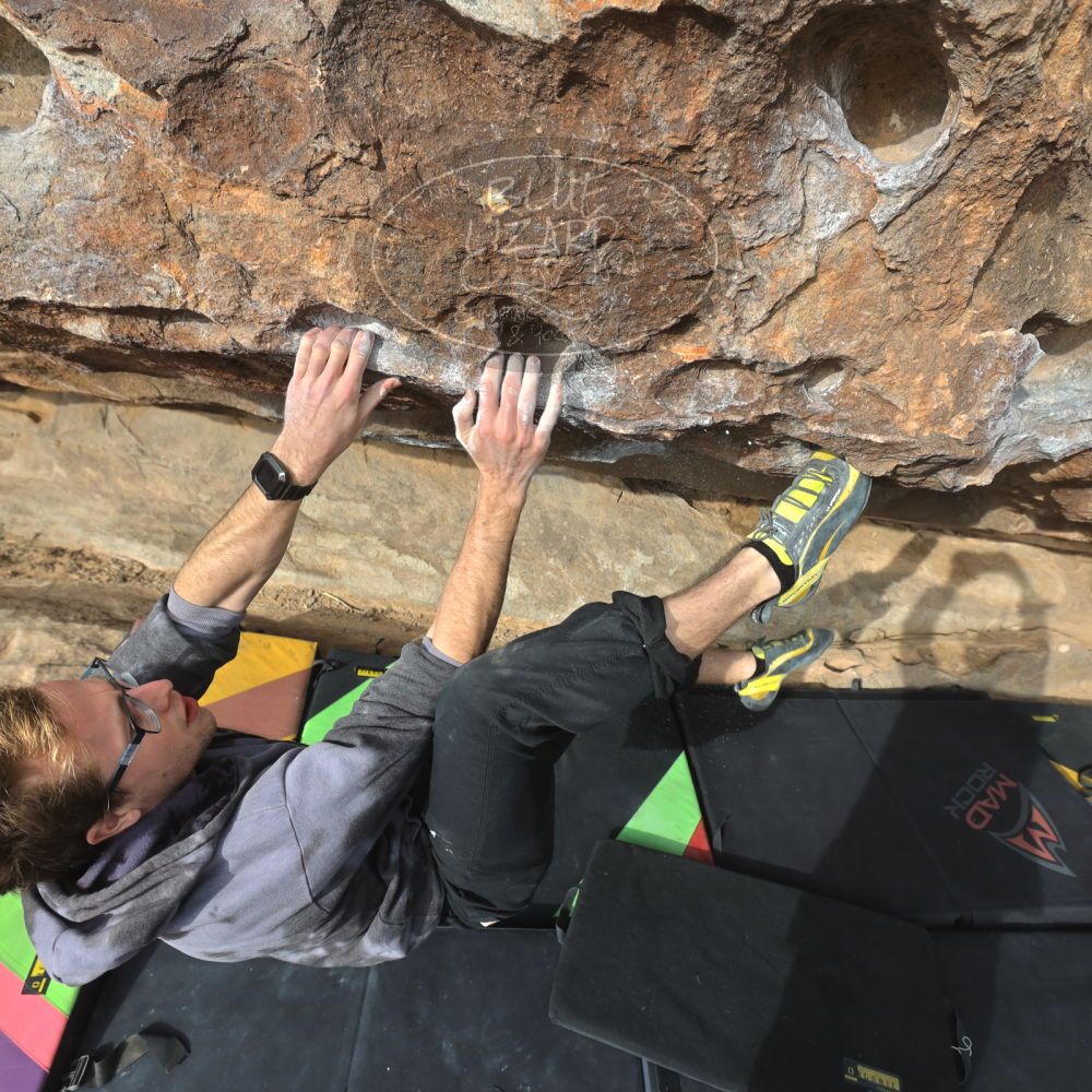 

Filename: SRM_20221218_1001520.jpg
Aperture: f/5.6
Shutter Speed: 1/400
Body: Canon EOS R6
Lens: Canon EF 16-35mm f/2.8 L