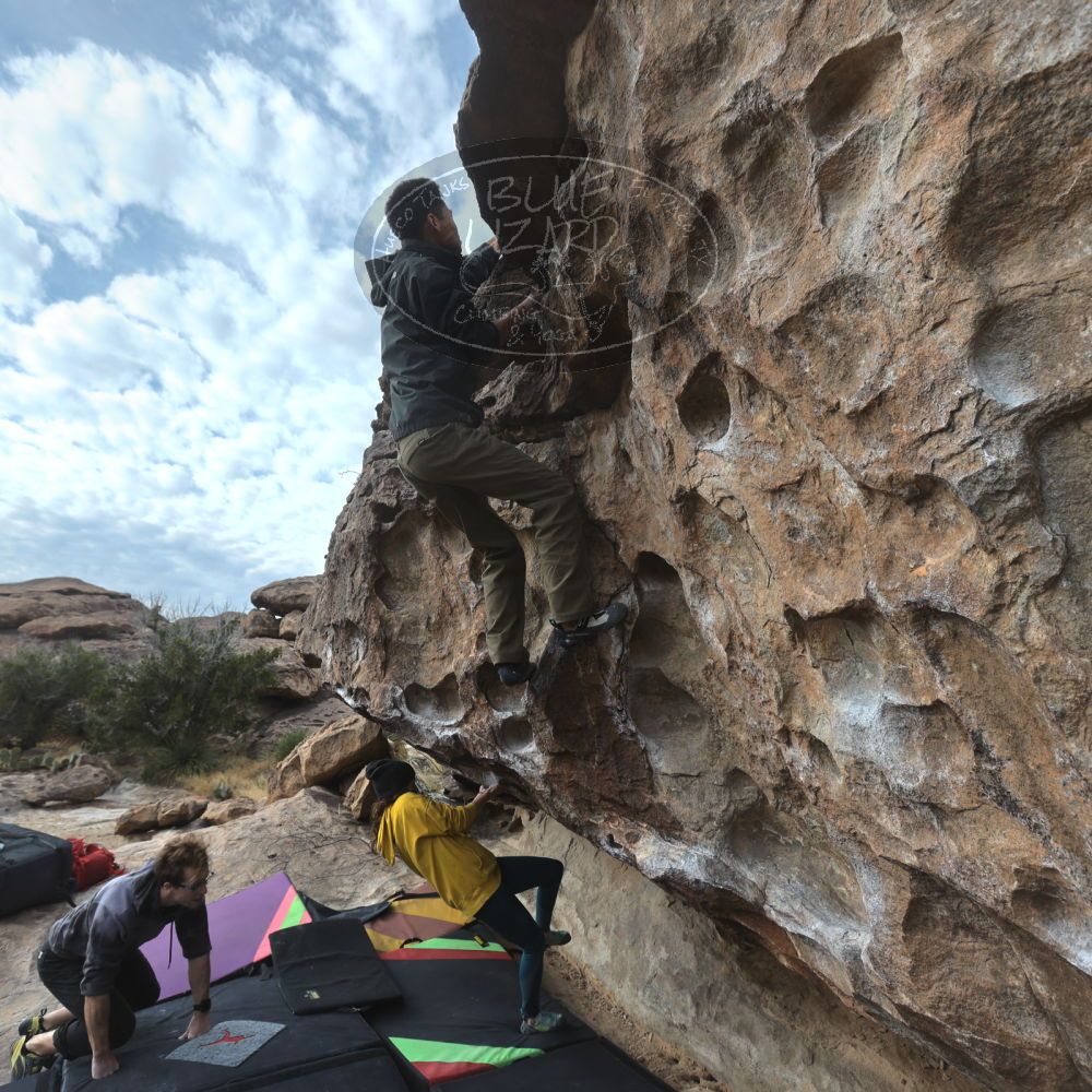 

Filename: SRM_20221218_1009430.jpg
Aperture: f/5.6
Shutter Speed: 1/400
Body: Canon EOS R6
Lens: Canon EF 16-35mm f/2.8 L