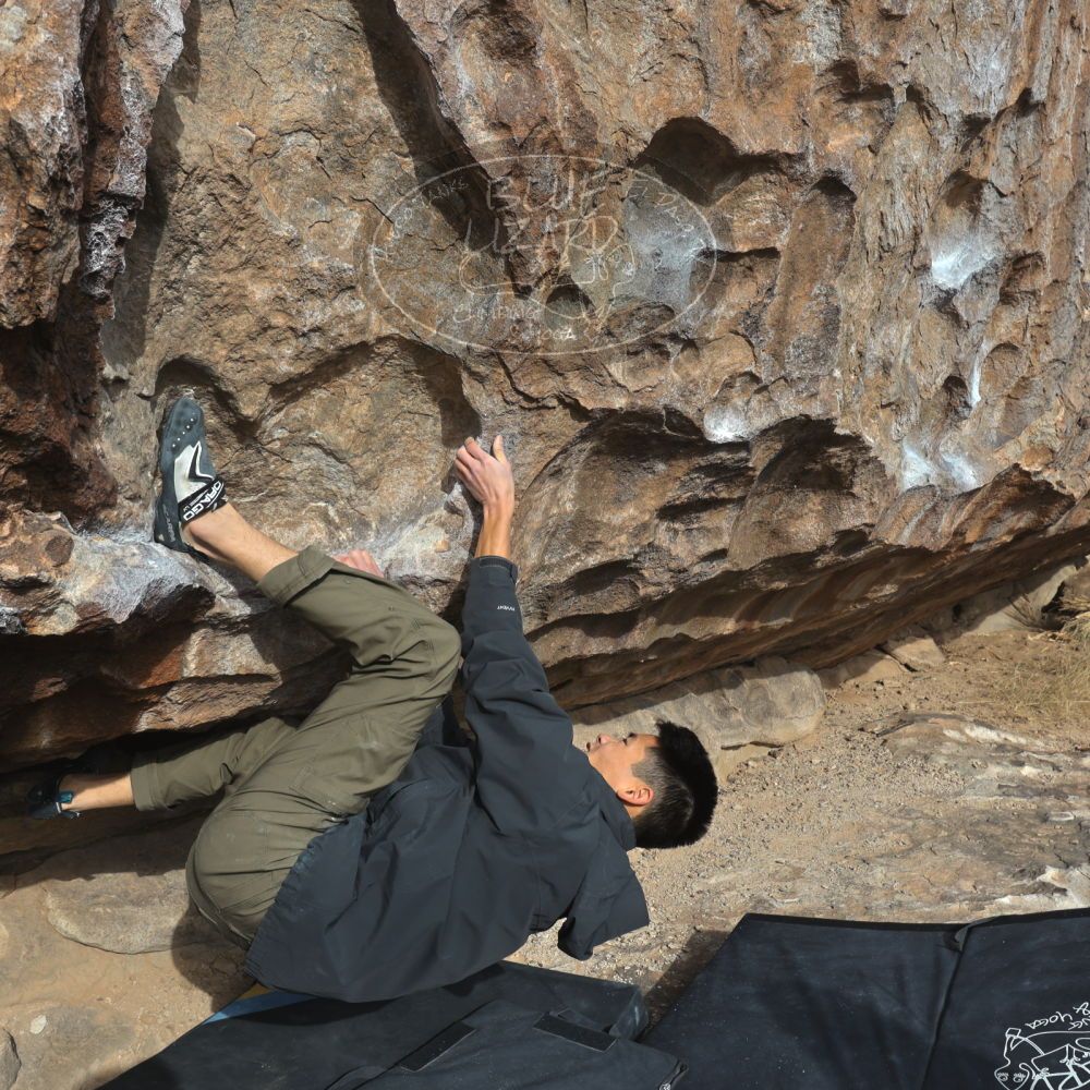 

Filename: SRM_20221218_1021210.jpg
Aperture: f/8.0
Shutter Speed: 1/1000
Body: Canon EOS R6
Lens: Canon EF 16-35mm f/2.8 L