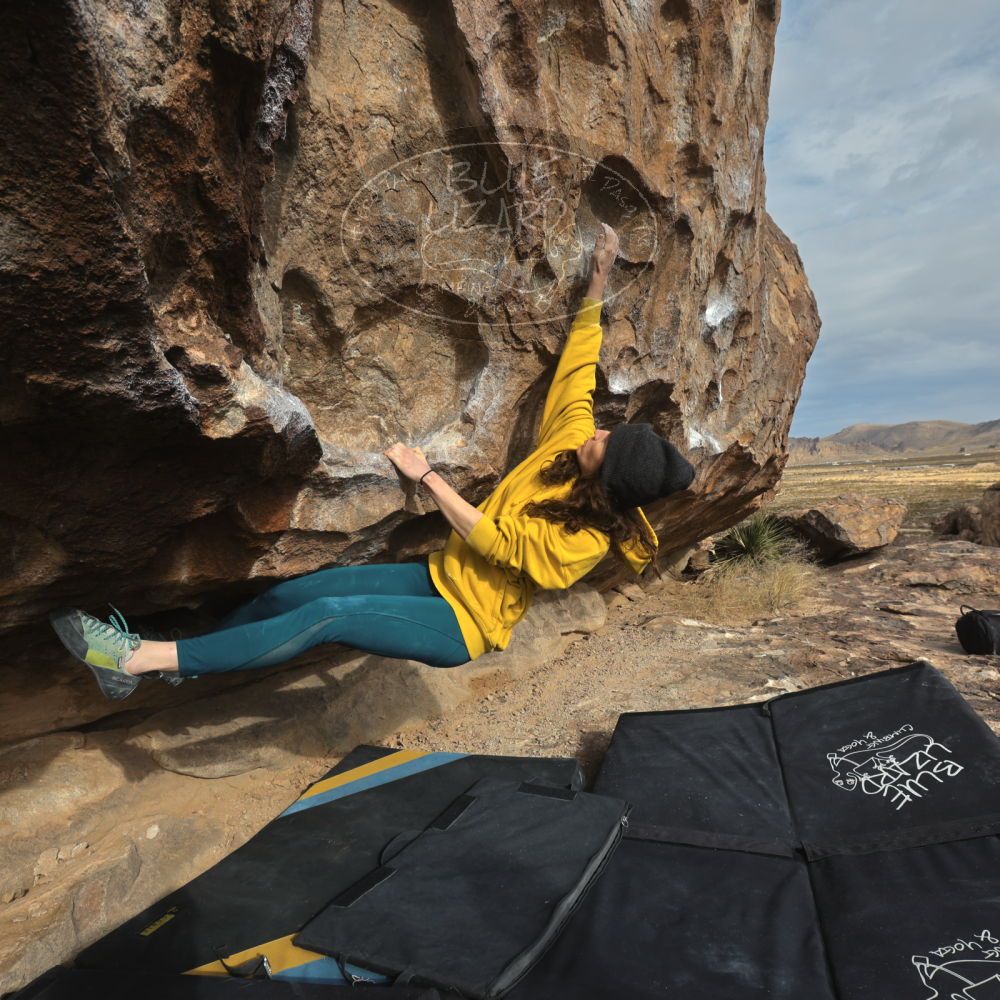 

Filename: SRM_20221218_1022460.jpg
Aperture: f/8.0
Shutter Speed: 1/1000
Body: Canon EOS R6
Lens: Canon EF 16-35mm f/2.8 L