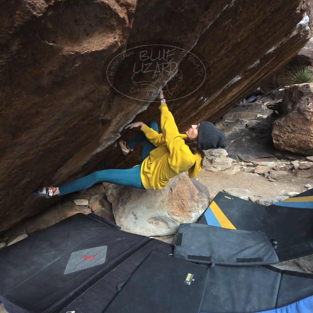 

Filename: SRM_20221218_1102400.jpg
Aperture: f/8.0
Shutter Speed: 1/1000
Body: Canon EOS R6
Lens: Canon EF 16-35mm f/2.8 L