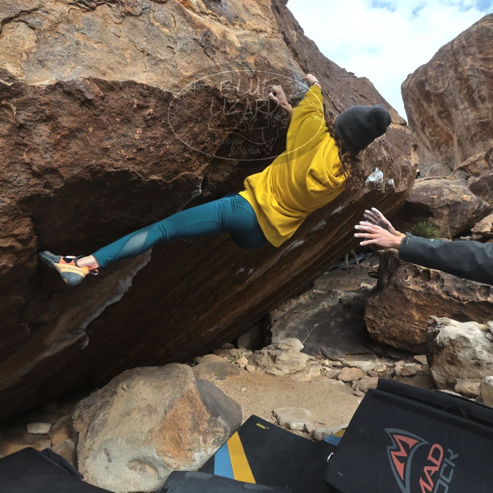 

Filename: SRM_20221218_1102580.jpg
Aperture: f/8.0
Shutter Speed: 1/1000
Body: Canon EOS R6
Lens: Canon EF 16-35mm f/2.8 L