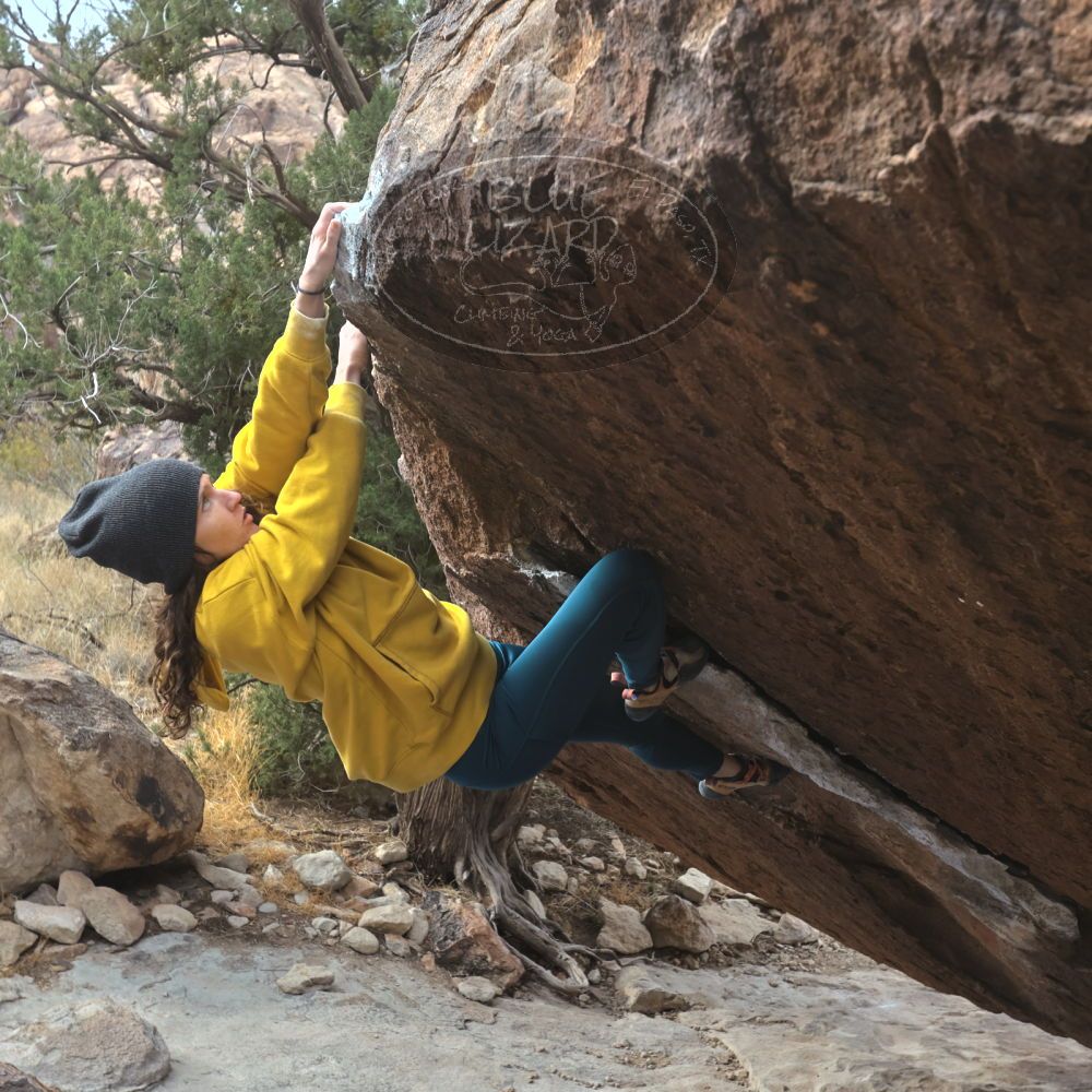 

Filename: SRM_20221218_1111371.jpg
Aperture: f/5.6
Shutter Speed: 1/640
Body: Canon EOS R6
Lens: Canon EF 16-35mm f/2.8 L