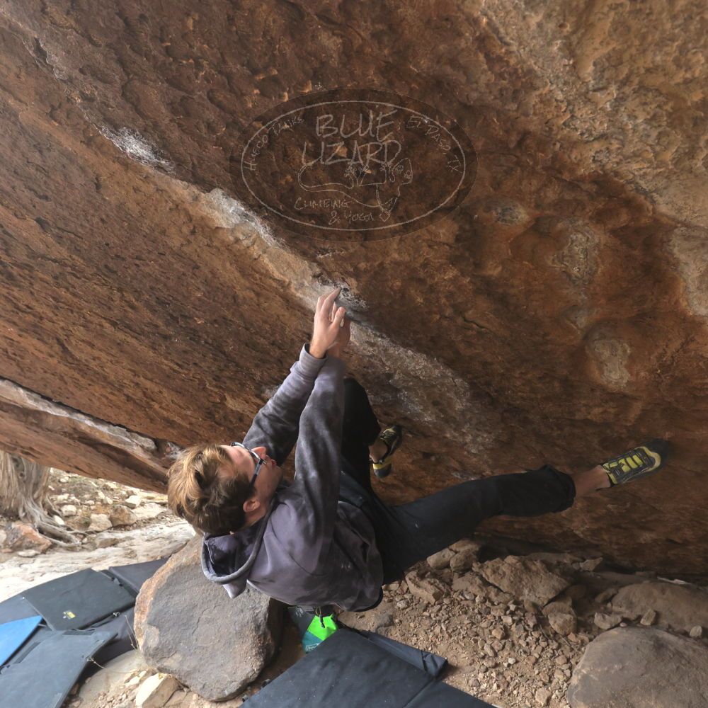 

Filename: SRM_20221218_1128081.jpg
Aperture: f/5.6
Shutter Speed: 1/640
Body: Canon EOS R6
Lens: Canon EF 16-35mm f/2.8 L