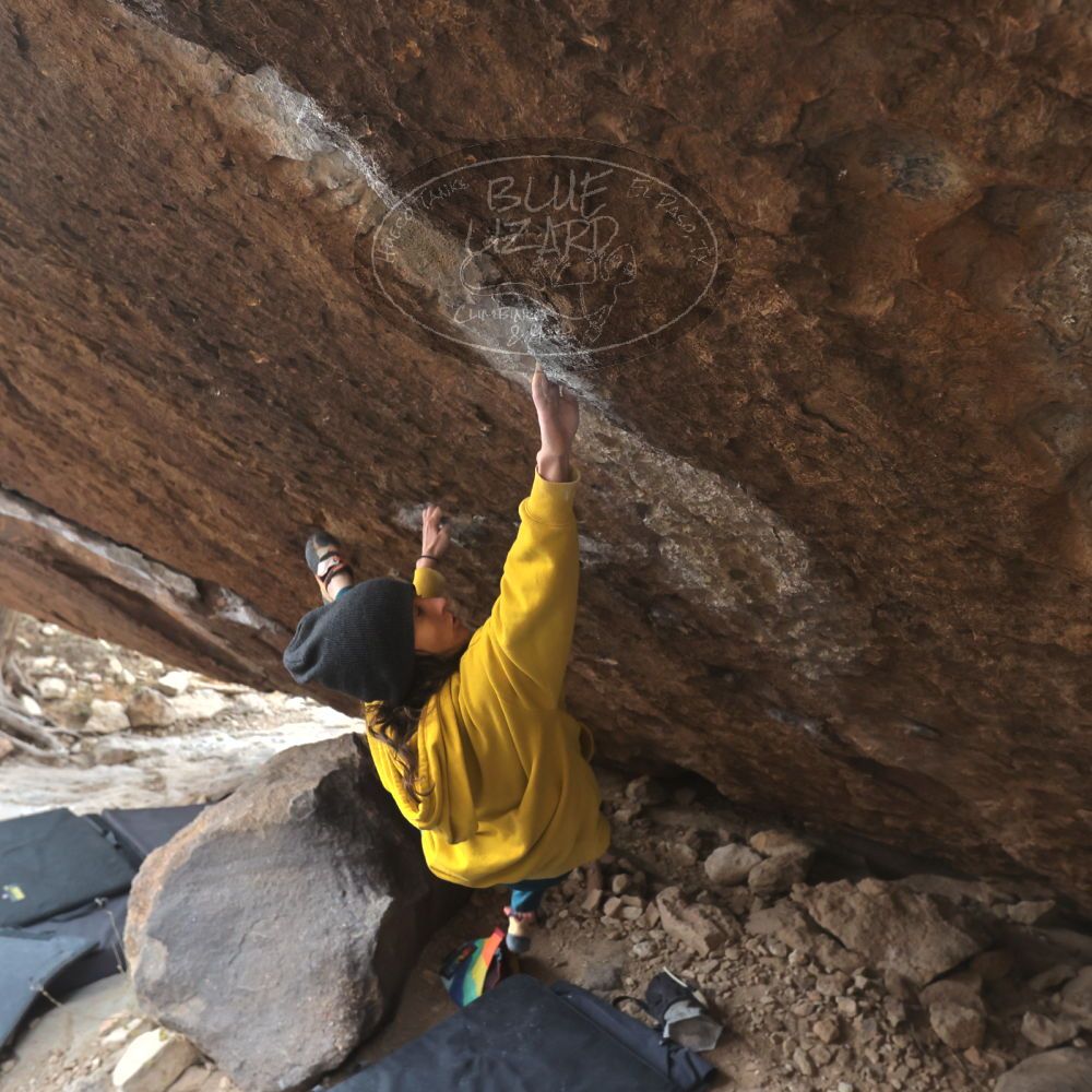 

Filename: SRM_20221218_1136111.jpg
Aperture: f/5.6
Shutter Speed: 1/640
Body: Canon EOS R6
Lens: Canon EF 16-35mm f/2.8 L