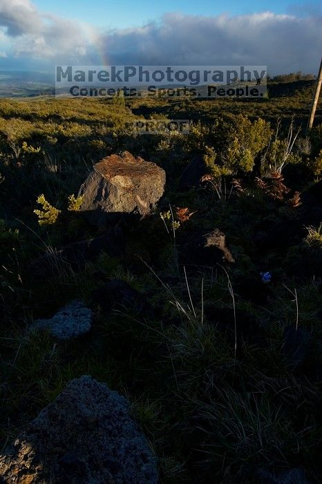 Bike trip down Haleakala. Trip to Maui, Hawai'i, 2007.
Filename: SRM_20071221_0808389.jpg
Aperture: f/8.0
Shutter Speed: 1/200
Body: Canon EOS-1D Mark II
Lens: Sigma 15-30mm f/3.5-4.5 EX Aspherical DG DF