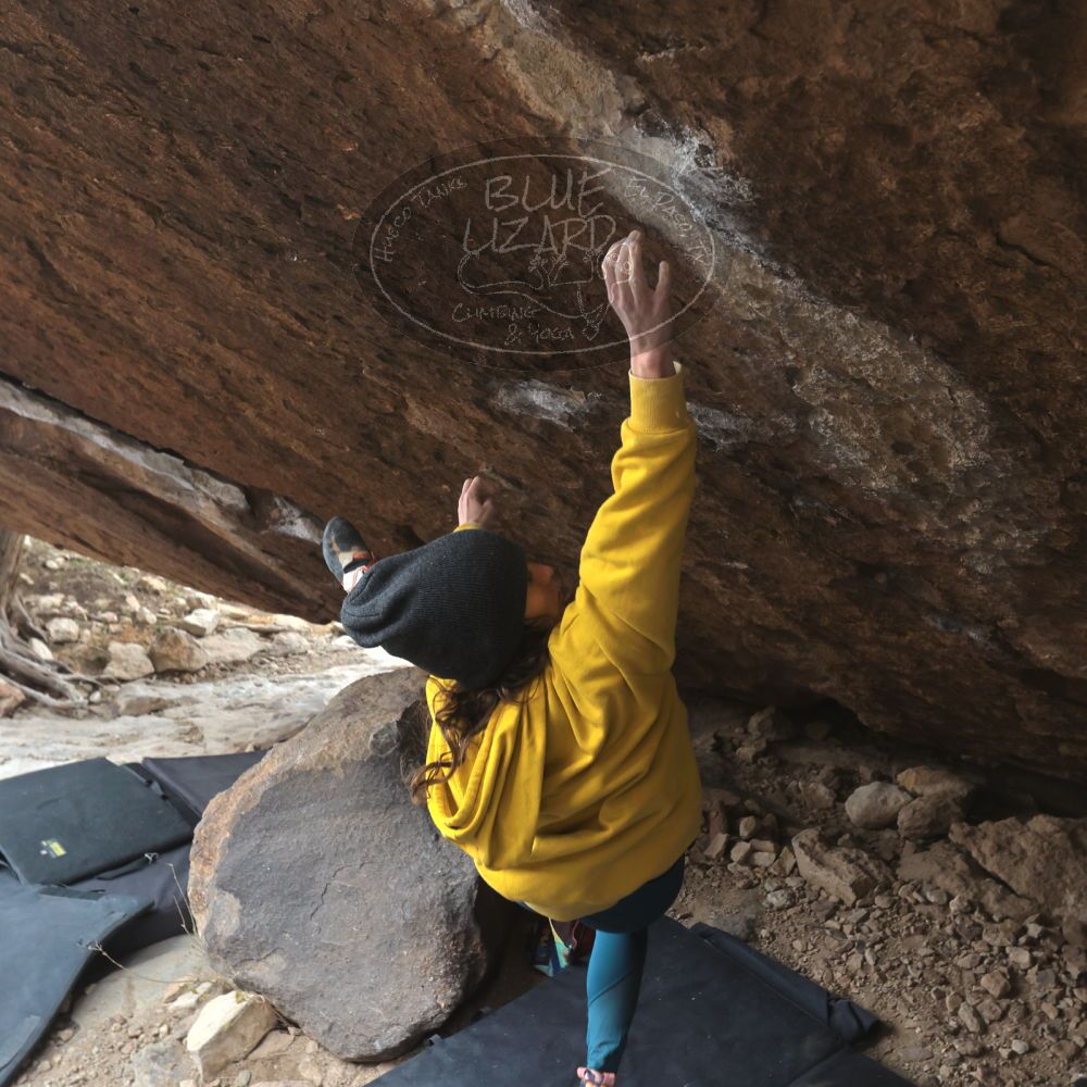 

Filename: SRM_20221218_1141072.jpg
Aperture: f/5.6
Shutter Speed: 1/640
Body: Canon EOS R6
Lens: Canon EF 16-35mm f/2.8 L