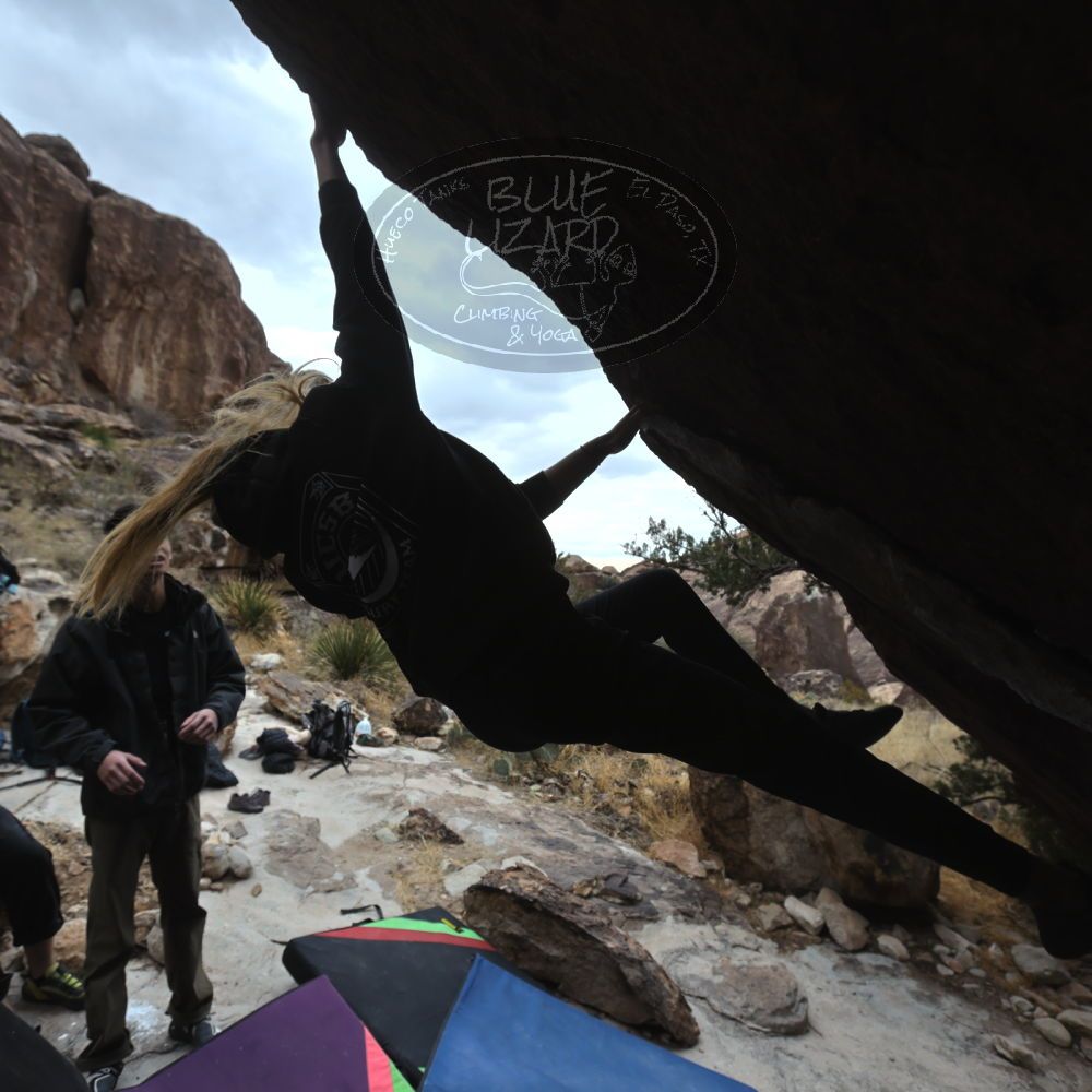 

Filename: SRM_20221218_1143481.jpg
Aperture: f/5.6
Shutter Speed: 1/640
Body: Canon EOS R6
Lens: Canon EF 16-35mm f/2.8 L