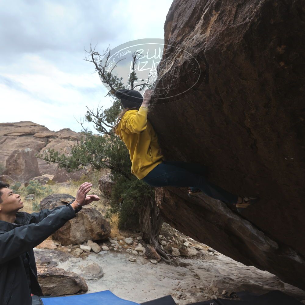 

Filename: SRM_20221218_1145560.jpg
Aperture: f/5.6
Shutter Speed: 1/640
Body: Canon EOS R6
Lens: Canon EF 16-35mm f/2.8 L