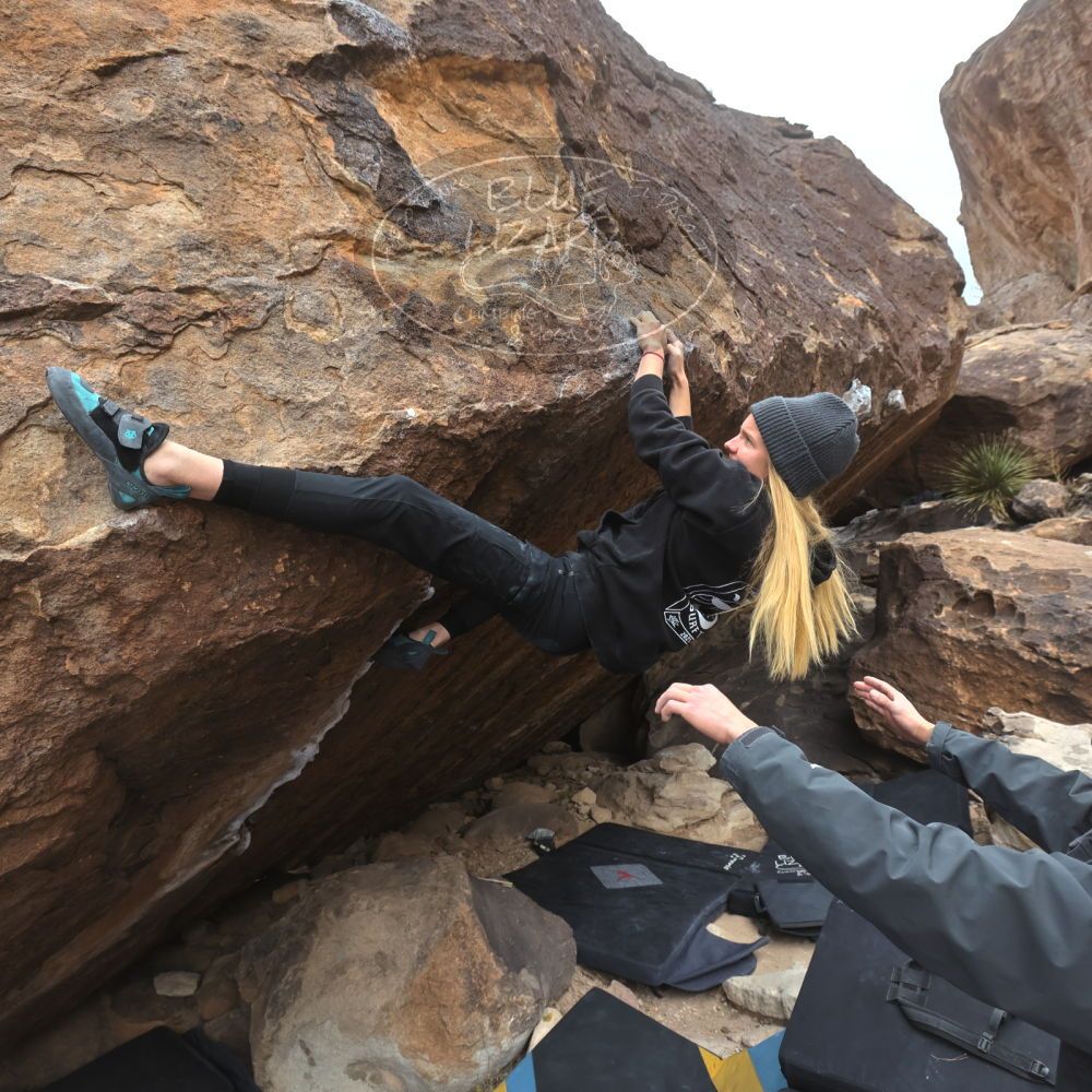 

Filename: SRM_20221218_1200280.jpg
Aperture: f/5.6
Shutter Speed: 1/640
Body: Canon EOS R6
Lens: Canon EF 16-35mm f/2.8 L