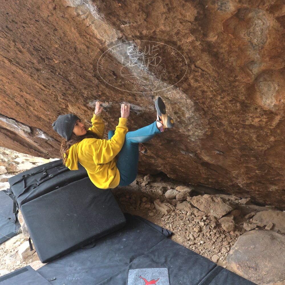 

Filename: SRM_20221218_1207180.jpg
Aperture: f/5.6
Shutter Speed: 1/640
Body: Canon EOS R6
Lens: Canon EF 16-35mm f/2.8 L