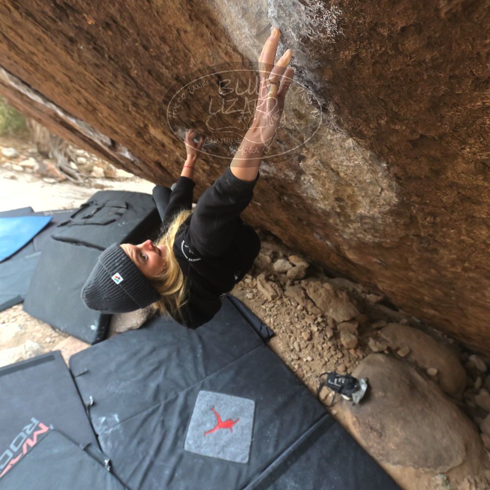 

Filename: SRM_20221218_1212101.jpg
Aperture: f/5.6
Shutter Speed: 1/640
Body: Canon EOS R6
Lens: Canon EF 16-35mm f/2.8 L