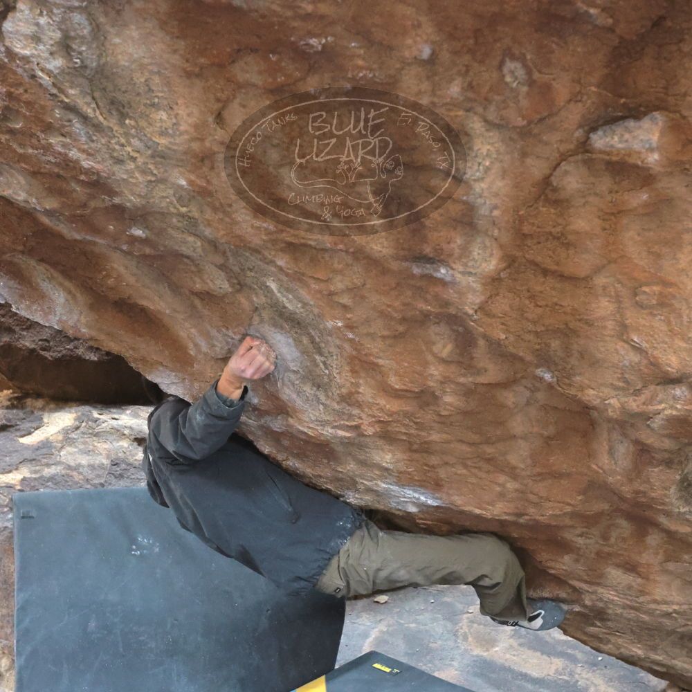 

Filename: SRM_20221218_1301270.jpg
Aperture: f/5.6
Shutter Speed: 1/640
Body: Canon EOS R6
Lens: Canon EF 16-35mm f/2.8 L