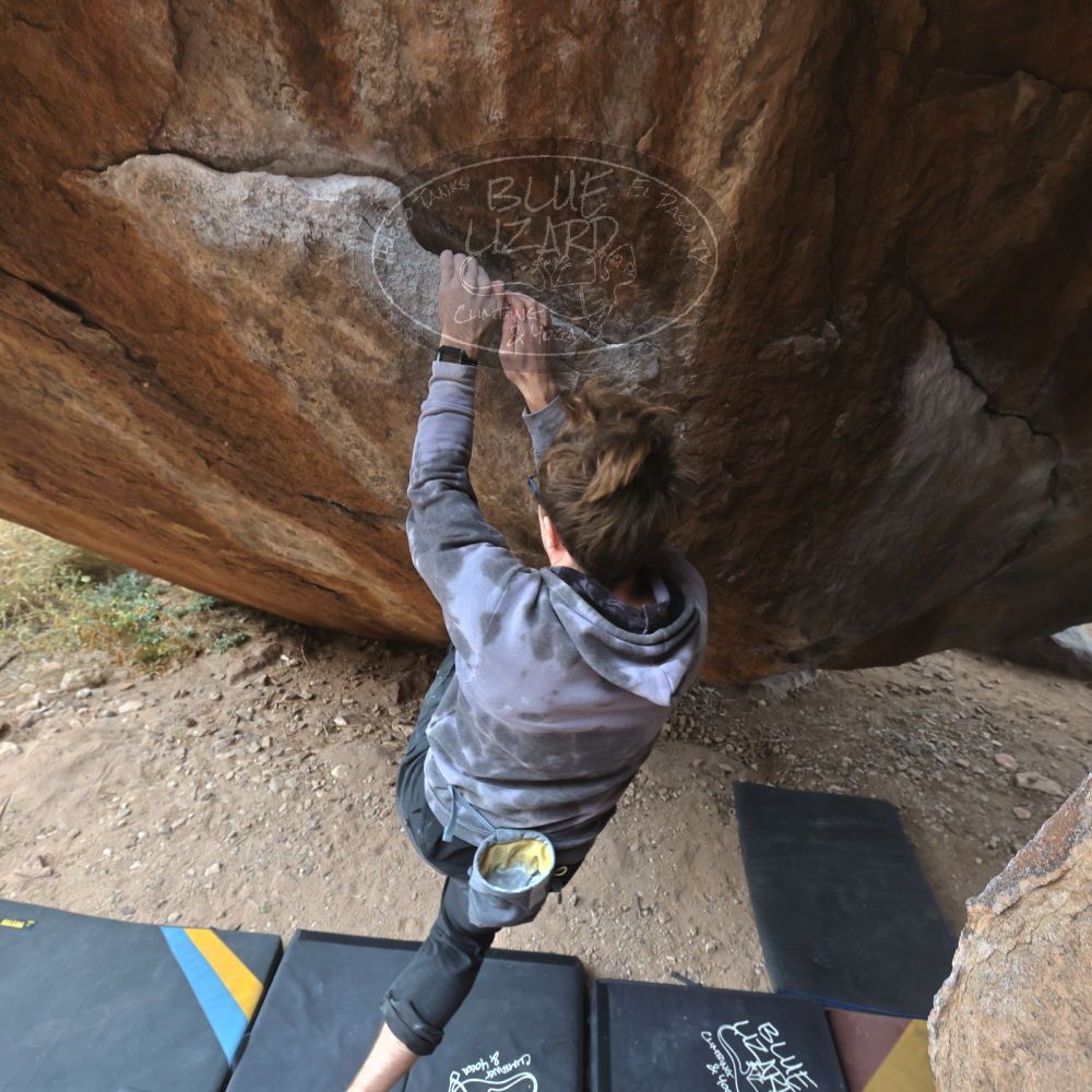 

Filename: SRM_20221218_1401390.jpg
Aperture: f/5.6
Shutter Speed: 1/400
Body: Canon EOS R6
Lens: Canon EF 16-35mm f/2.8 L