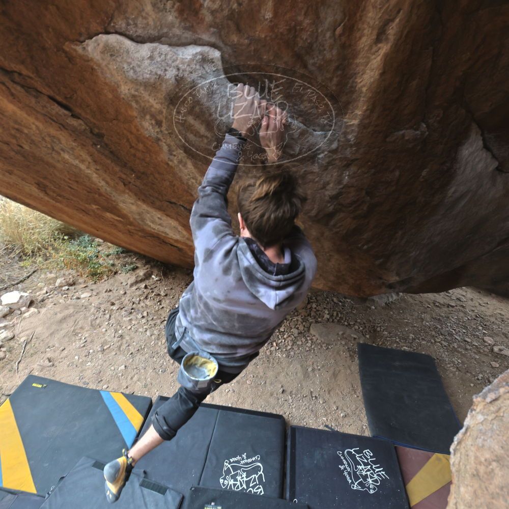 

Filename: SRM_20221218_1401391.jpg
Aperture: f/5.6
Shutter Speed: 1/400
Body: Canon EOS R6
Lens: Canon EF 16-35mm f/2.8 L