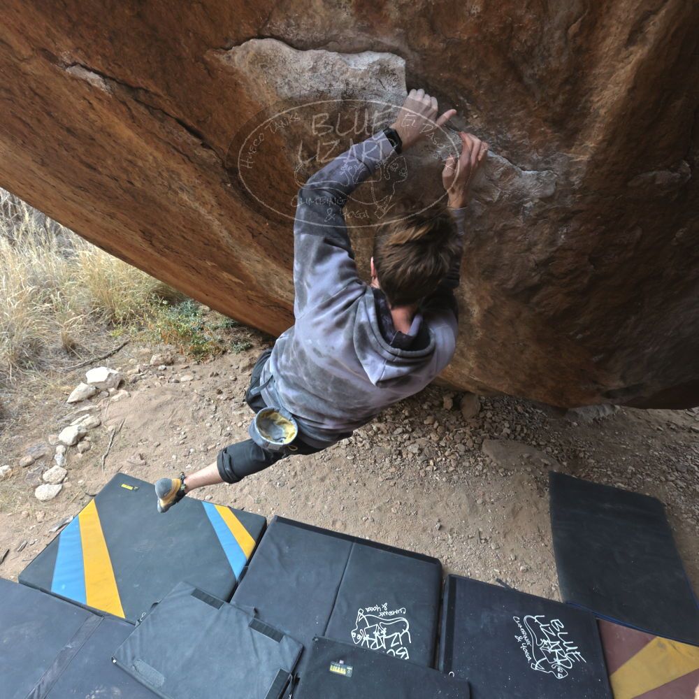 

Filename: SRM_20221218_1401393.jpg
Aperture: f/5.6
Shutter Speed: 1/400
Body: Canon EOS R6
Lens: Canon EF 16-35mm f/2.8 L