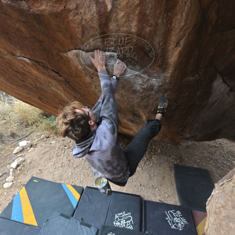 

Filename: SRM_20221218_1401440.jpg
Aperture: f/5.6
Shutter Speed: 1/400
Body: Canon EOS R6
Lens: Canon EF 16-35mm f/2.8 L