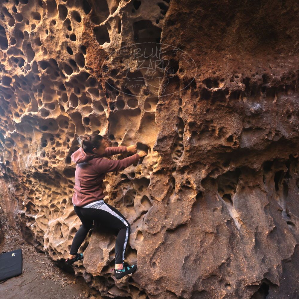 Filename: SRM_20221219_1115270.jpg
Aperture: f/5.0
Shutter Speed: 1/200
Body: Canon EOS R6
Lens: Canon EF 16-35mm f/2.8 L