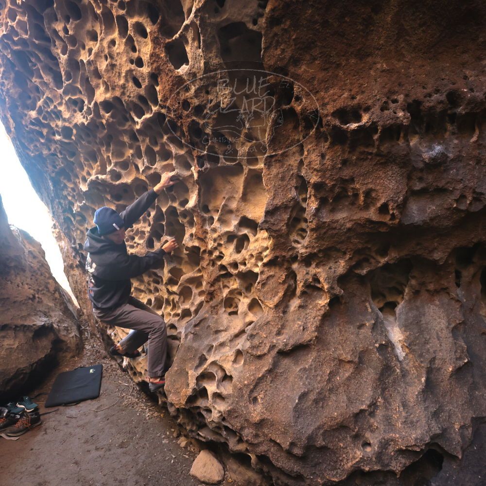 

Filename: SRM_20221219_1117310.jpg
Aperture: f/5.0
Shutter Speed: 1/200
Body: Canon EOS R6
Lens: Canon EF 16-35mm f/2.8 L