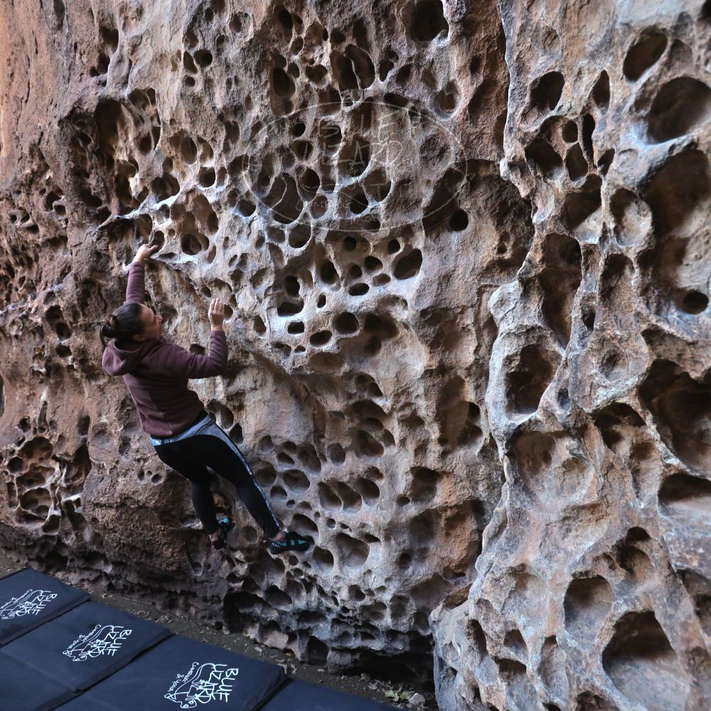 

Filename: SRM_20221219_1118000.jpg
Aperture: f/4.0
Shutter Speed: 1/200
Body: Canon EOS R6
Lens: Canon EF 16-35mm f/2.8 L