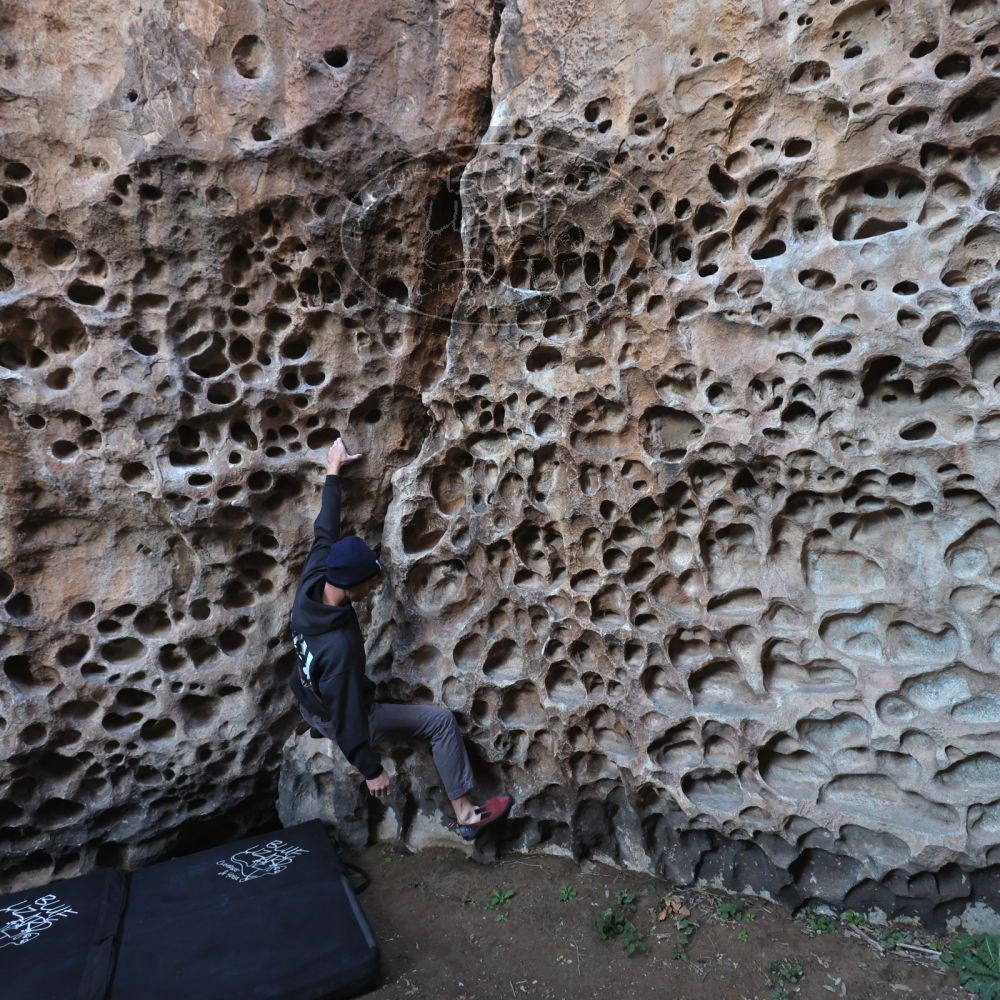 

Filename: SRM_20221219_1119510.jpg
Aperture: f/4.0
Shutter Speed: 1/200
Body: Canon EOS R6
Lens: Canon EF 16-35mm f/2.8 L