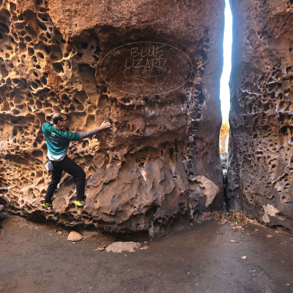 

Filename: SRM_20221219_1125340.jpg
Aperture: f/4.0
Shutter Speed: 1/200
Body: Canon EOS R6
Lens: Canon EF 16-35mm f/2.8 L