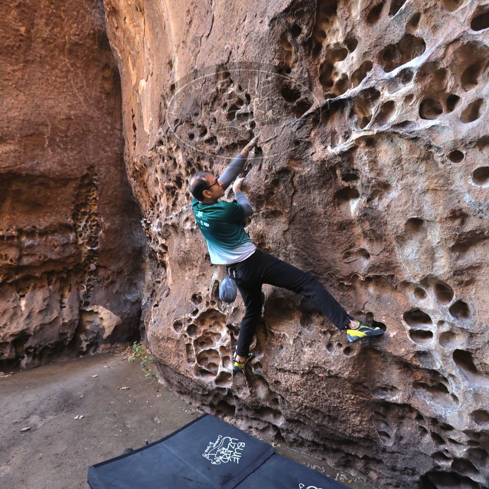 

Filename: SRM_20221219_1127050.jpg
Aperture: f/4.0
Shutter Speed: 1/200
Body: Canon EOS R6
Lens: Canon EF 16-35mm f/2.8 L