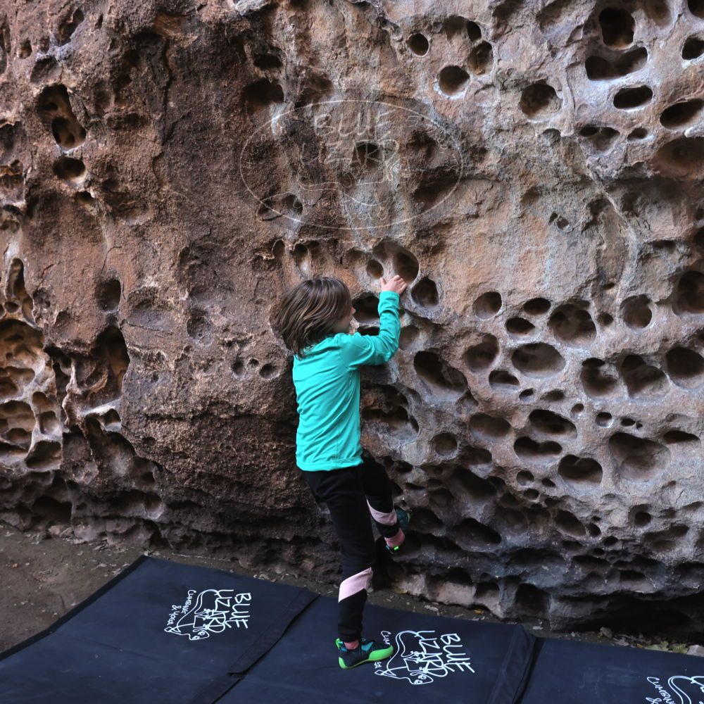 

Filename: SRM_20221219_1131180.jpg
Aperture: f/4.0
Shutter Speed: 1/200
Body: Canon EOS R6
Lens: Canon EF 16-35mm f/2.8 L