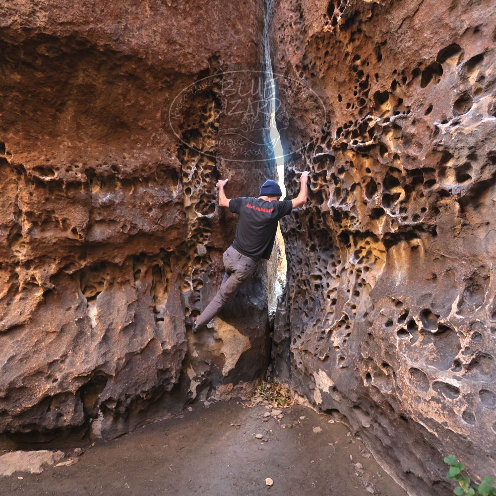 

Filename: SRM_20221219_1137570.jpg
Aperture: f/4.0
Shutter Speed: 1/200
Body: Canon EOS R6
Lens: Canon EF 16-35mm f/2.8 L