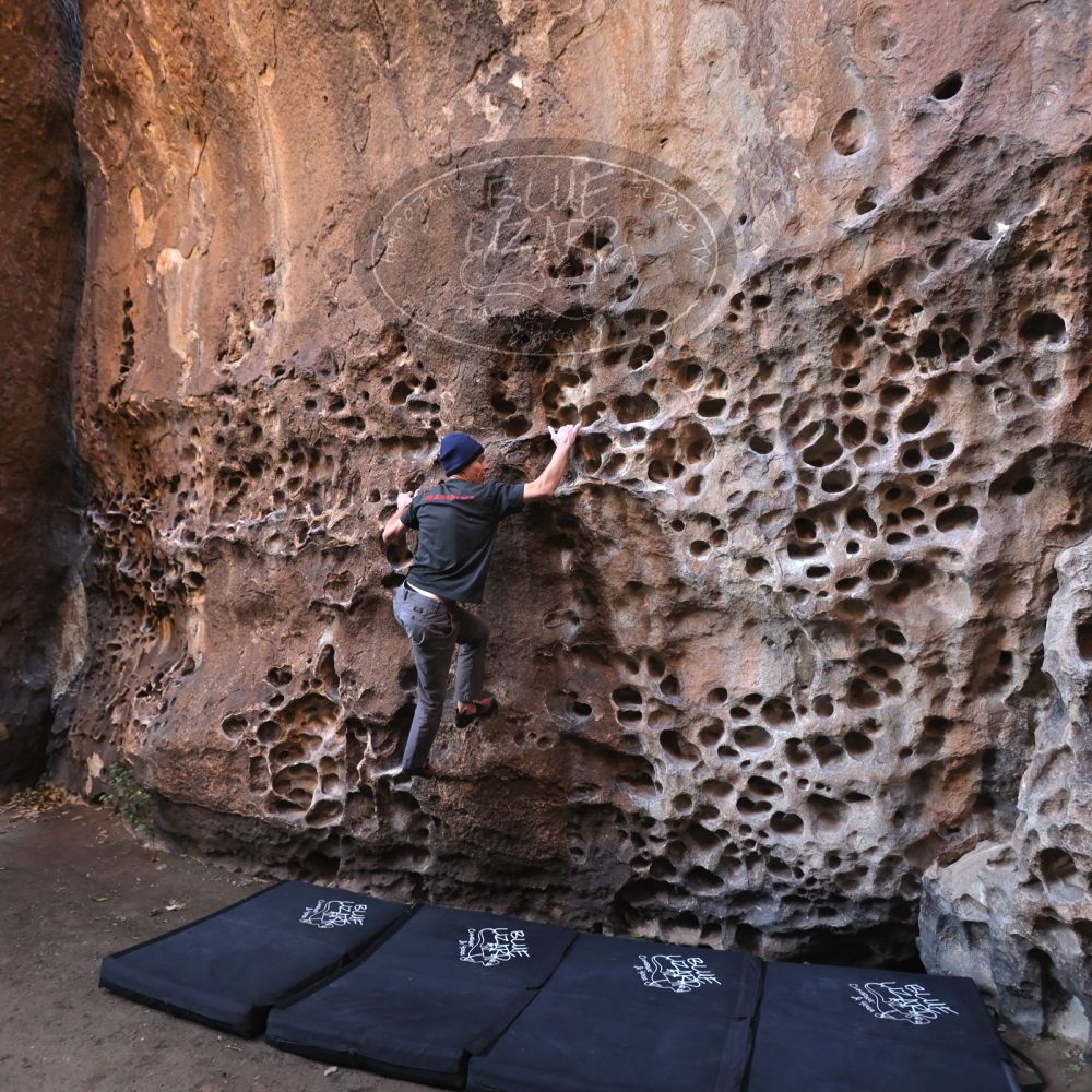 

Filename: SRM_20221219_1138071.jpg
Aperture: f/4.0
Shutter Speed: 1/200
Body: Canon EOS R6
Lens: Canon EF 16-35mm f/2.8 L