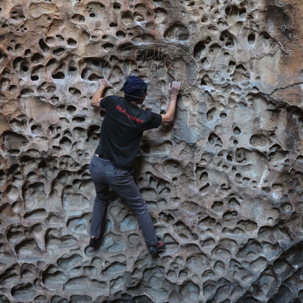 

Filename: SRM_20221219_1138180.jpg
Aperture: f/4.0
Shutter Speed: 1/200
Body: Canon EOS R6
Lens: Canon EF 16-35mm f/2.8 L