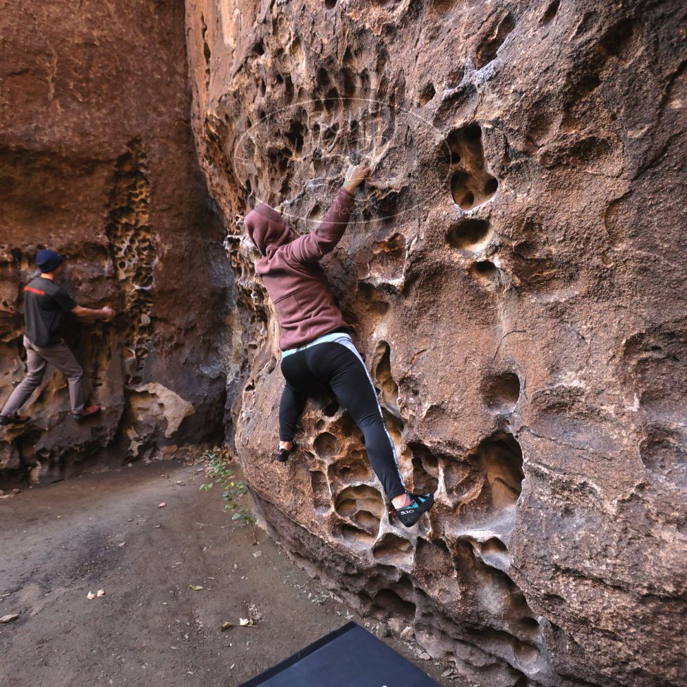 

Filename: SRM_20221219_1139530.jpg
Aperture: f/4.0
Shutter Speed: 1/200
Body: Canon EOS R6
Lens: Canon EF 16-35mm f/2.8 L