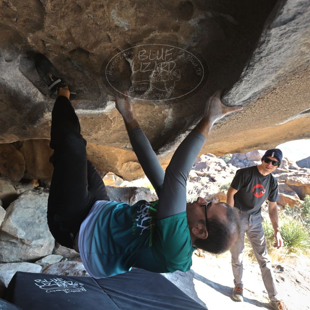 Filename: SRM_20221219_1252141.jpg
Aperture: f/5.6
Shutter Speed: 1/500
Body: Canon EOS R6
Lens: Canon EF 16-35mm f/2.8 L