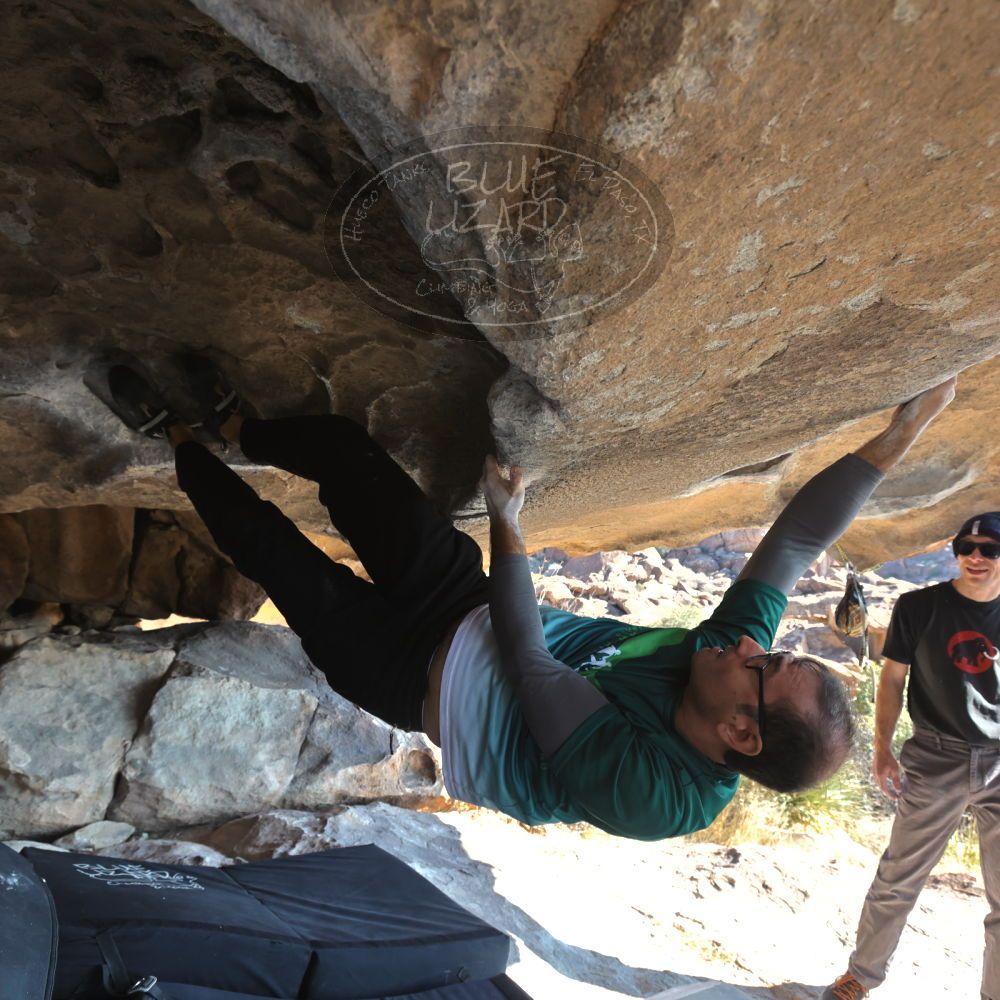 Filename: SRM_20221219_1252190.jpg
Aperture: f/5.6
Shutter Speed: 1/500
Body: Canon EOS R6
Lens: Canon EF 16-35mm f/2.8 L