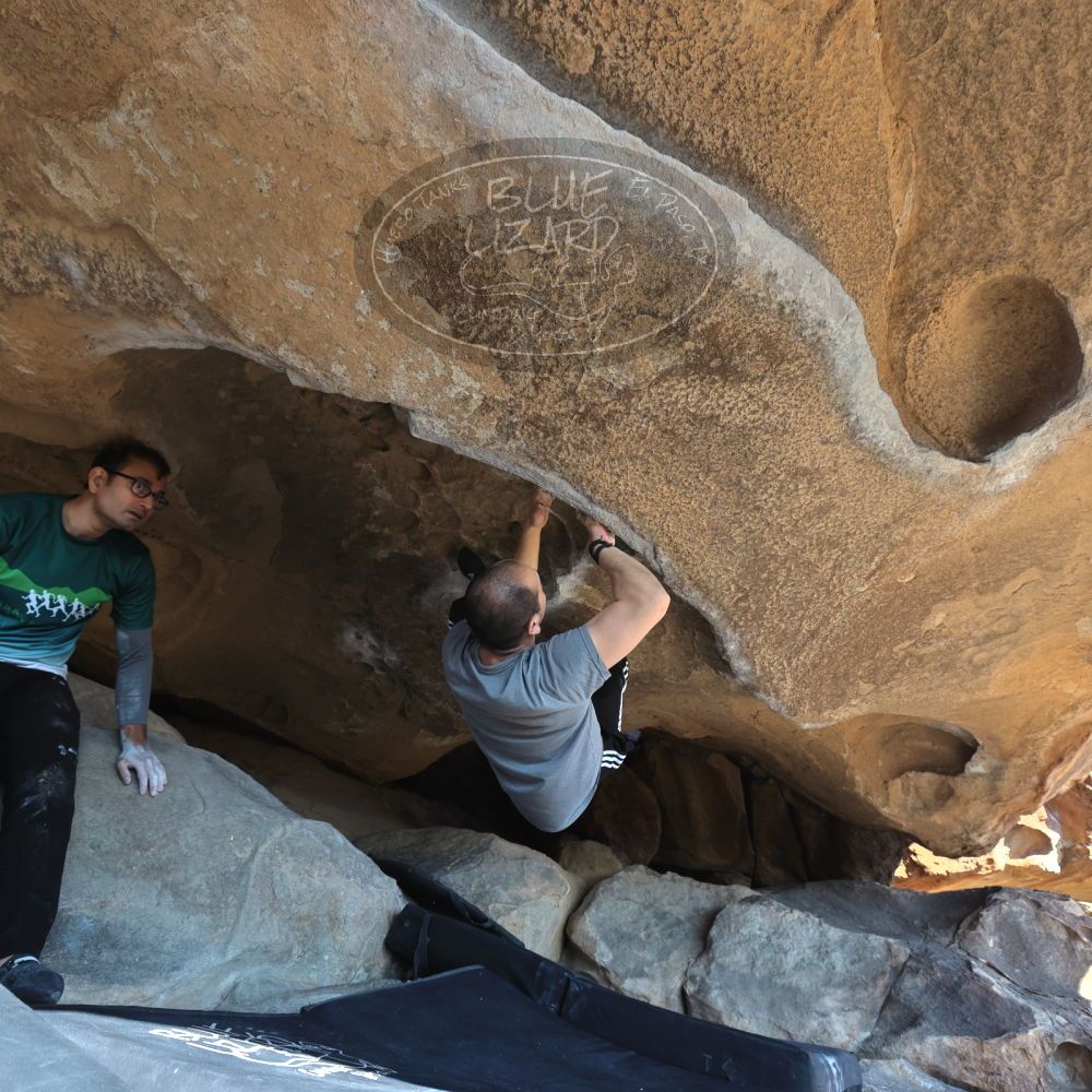 

Filename: SRM_20221219_1259280.jpg
Aperture: f/5.6
Shutter Speed: 1/500
Body: Canon EOS R6
Lens: Canon EF 16-35mm f/2.8 L