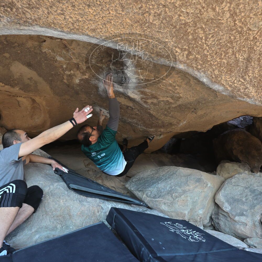 

Filename: SRM_20221219_1303160.jpg
Aperture: f/5.6
Shutter Speed: 1/500
Body: Canon EOS R6
Lens: Canon EF 16-35mm f/2.8 L