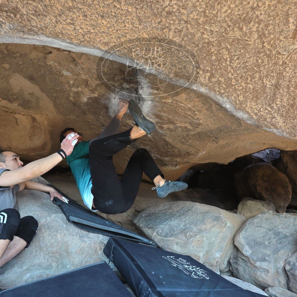 

Filename: SRM_20221219_1303180.jpg
Aperture: f/5.6
Shutter Speed: 1/500
Body: Canon EOS R6
Lens: Canon EF 16-35mm f/2.8 L