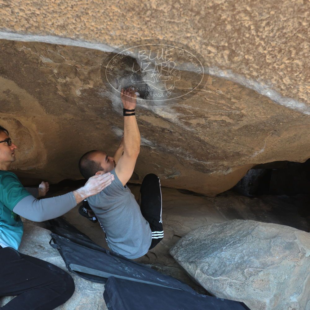 Filename: SRM_20221219_1307110.jpg
Aperture: f/5.6
Shutter Speed: 1/400
Body: Canon EOS R6
Lens: Canon EF 16-35mm f/2.8 L