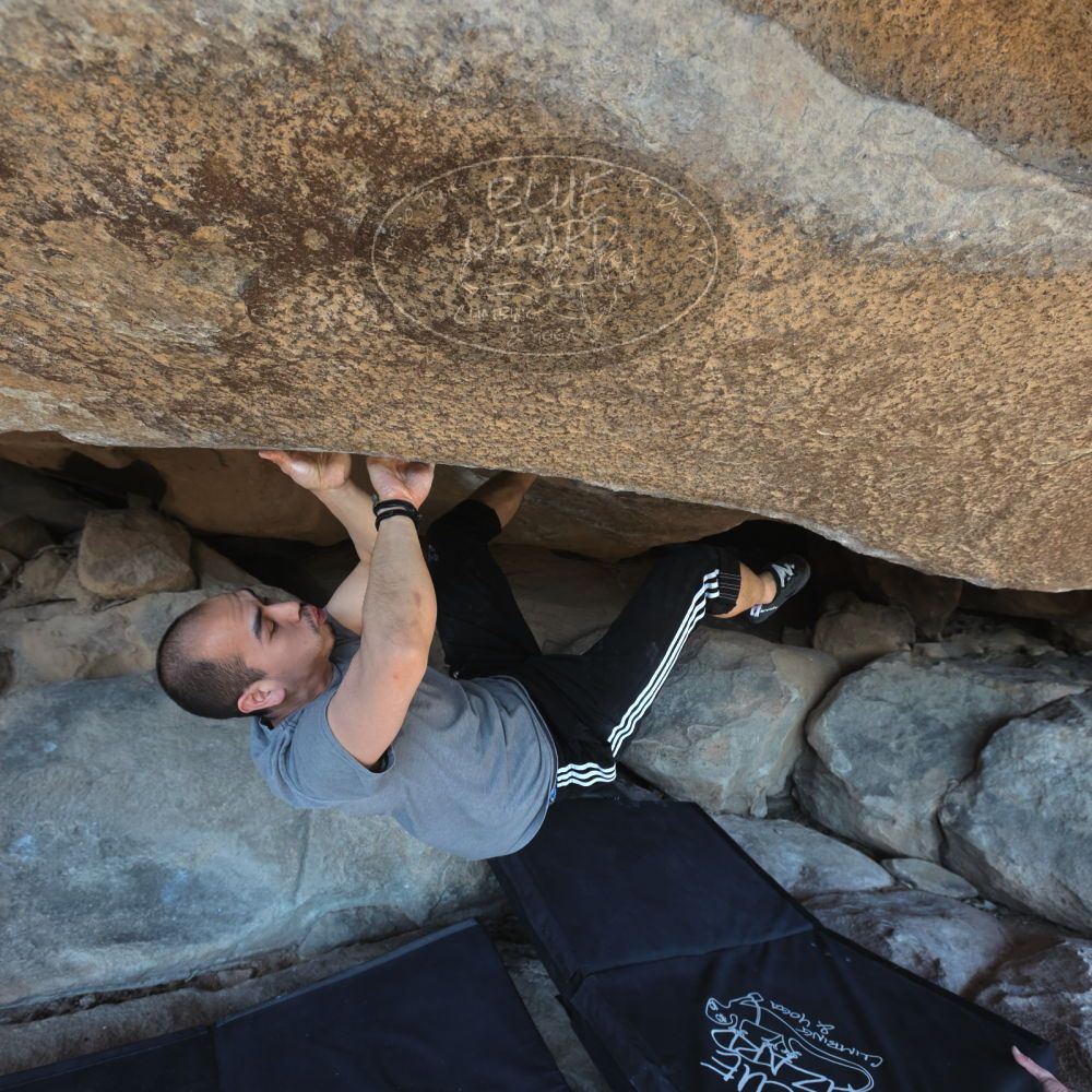 

Filename: SRM_20221219_1307200.jpg
Aperture: f/5.6
Shutter Speed: 1/400
Body: Canon EOS R6
Lens: Canon EF 16-35mm f/2.8 L