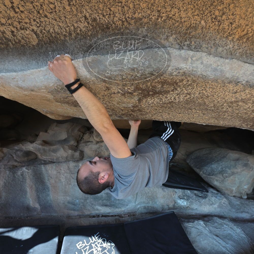 Filename: SRM_20221219_1307230.jpg
Aperture: f/5.6
Shutter Speed: 1/400
Body: Canon EOS R6
Lens: Canon EF 16-35mm f/2.8 L