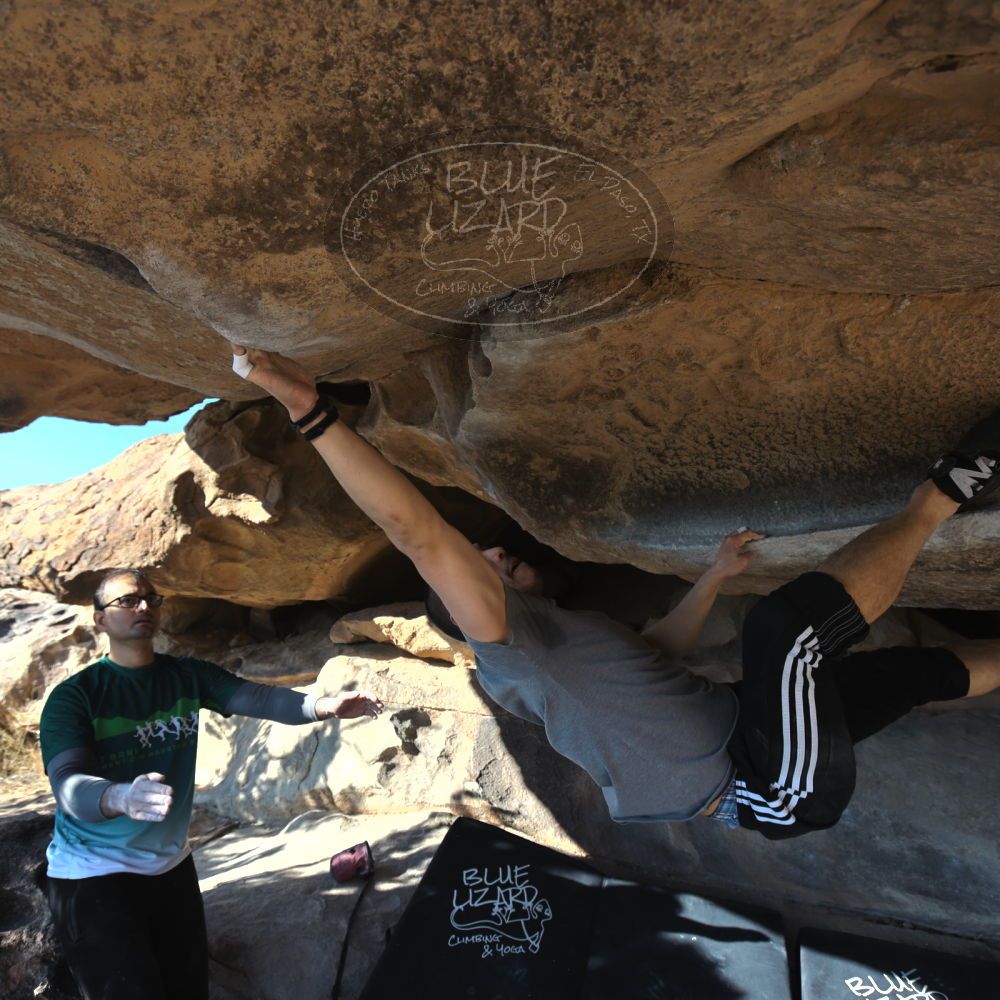 

Filename: SRM_20221219_1307370.jpg
Aperture: f/5.6
Shutter Speed: 1/400
Body: Canon EOS R6
Lens: Canon EF 16-35mm f/2.8 L